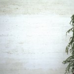 8_jahnke